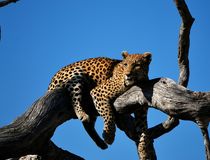  &copy; Colin Watts/Unsplash